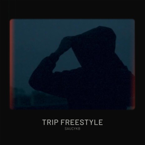 TRIP FREESTYLE | Boomplay Music