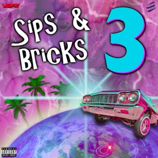 Sips & Bricks 3