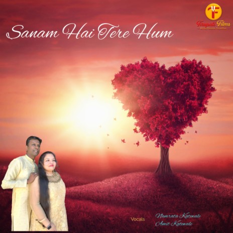 Sanam Hai Tere Hum | Boomplay Music