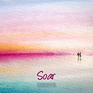 Soar