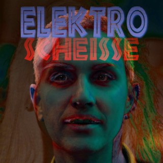 Elektro-Scheiße