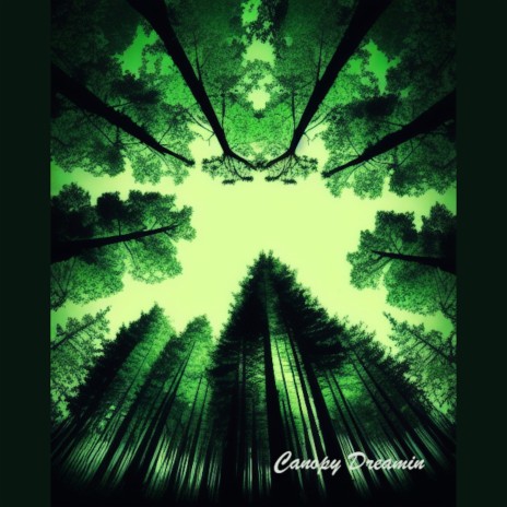 Canopy Dreamin ft. Japper | Boomplay Music