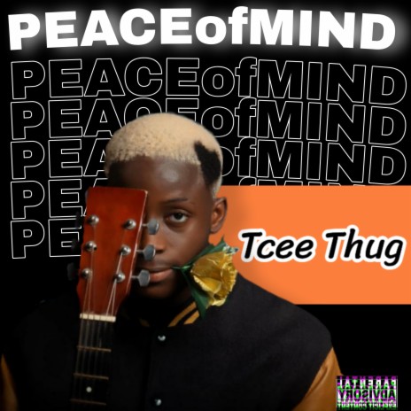 PEACEofMIND | Boomplay Music