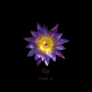 Lily