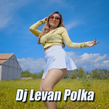 Dj Levan Polka | Boomplay Music