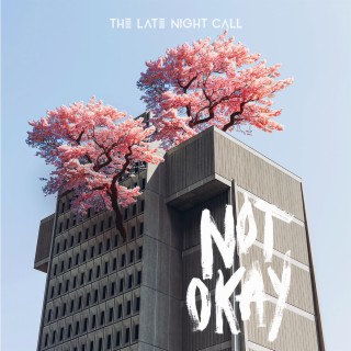 Not Okay lyrics | Boomplay Music