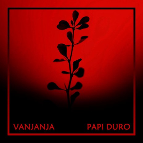 Papi Duro | Boomplay Music