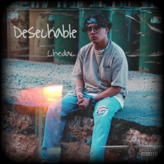 Desechable