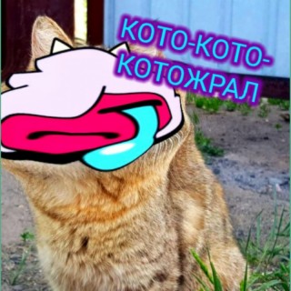 Кото-кото-котожрал