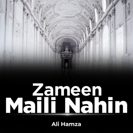 Zameen Maili Nahin | Boomplay Music