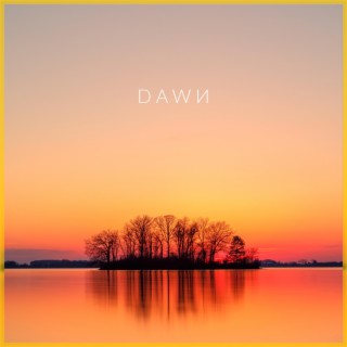 Dawn