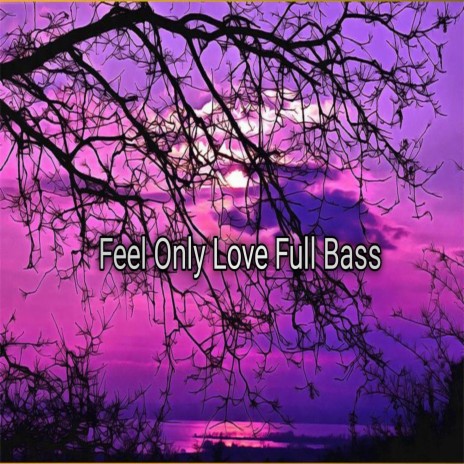 Feel Only Love Full Bass | Boomplay Music