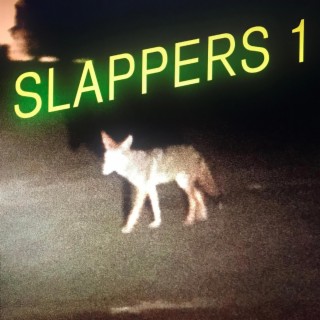 SLAPPERS 1