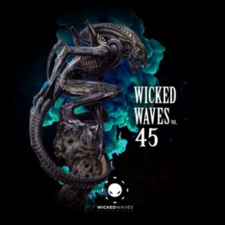 Wicked Waves Vol. 45