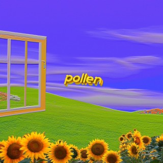 ༊*·˚pollen ｡˚ °