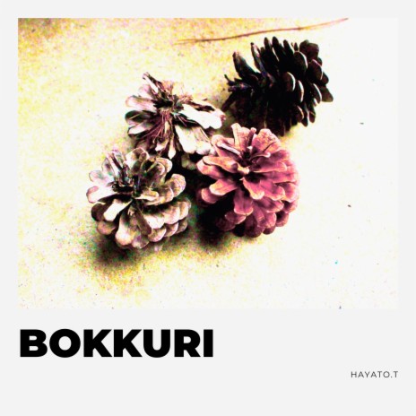 Bokkuri | Boomplay Music