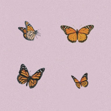 Butterfly's | Boomplay Music