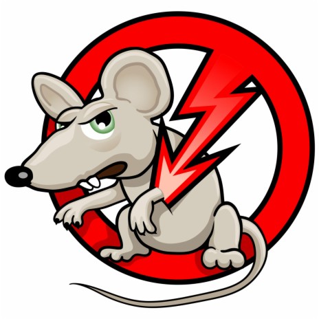 Kill The Rats | Boomplay Music