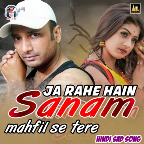 Ja Rahe Hain Sanam | Boomplay Music