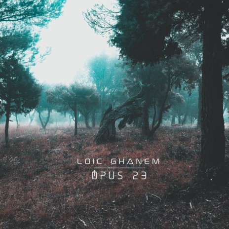 Opus 23 | Boomplay Music