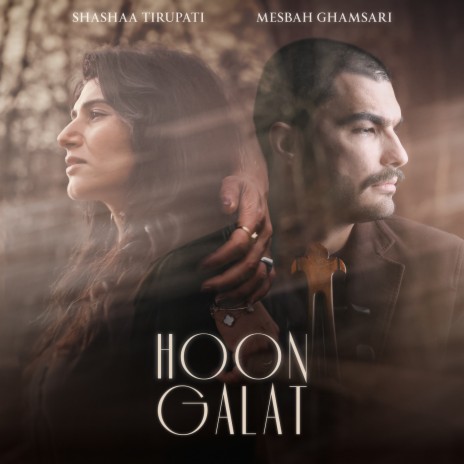 Hoon Galat ft. Mesbah Ghamsari | Boomplay Music