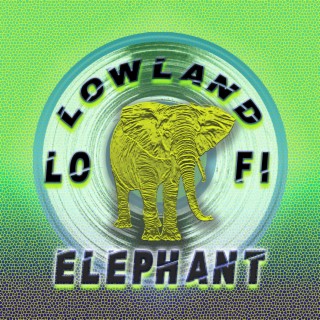 Lowland Lofi
