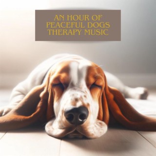An Hour Of Peaceful Dogs Therapy Music