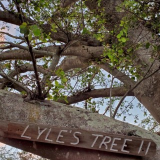 Lyle's Tree