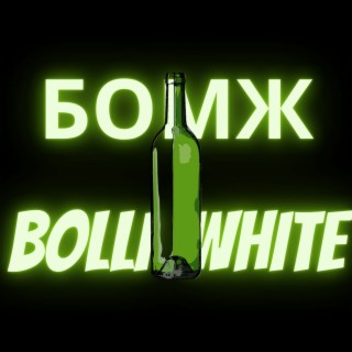 BOLLI WHITE