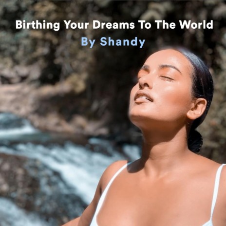 Birthing Your Dreams To The World Meditation | Boomplay Music