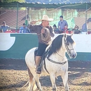 EL CABALLO DE LUPE