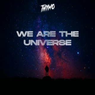 We Are The Universe