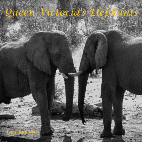 Queen Victoria's Elephants | Boomplay Music