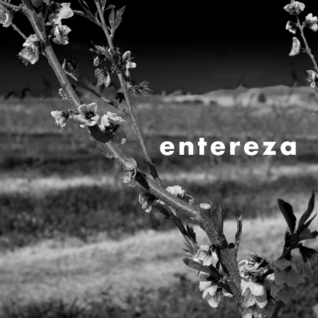 Entereza | Boomplay Music