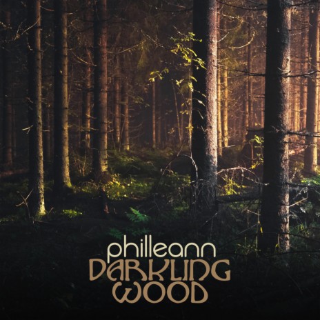 Darkling Wood | Boomplay Music