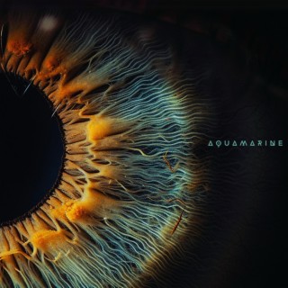 Aquamarine lyrics | Boomplay Music