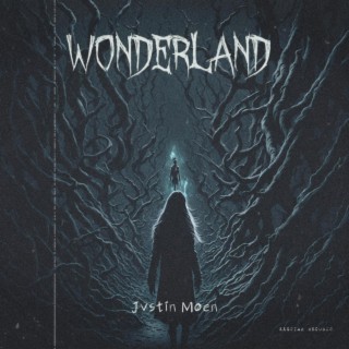 Wonderland lyrics | Boomplay Music
