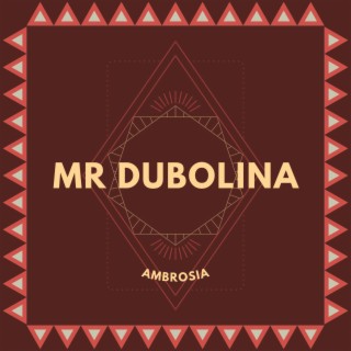 Mr Dubolina