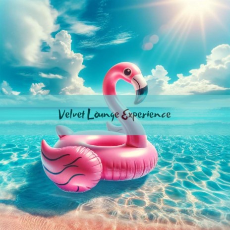 Velvet Lounge | Boomplay Music
