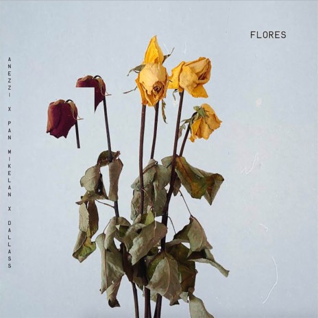 Flores | Boomplay Music