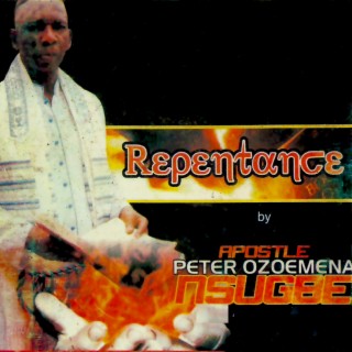 Apostle Peter Ozoemena Usugbe