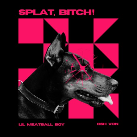 SPLAT, BITCH! ft. BSH VON | Boomplay Music