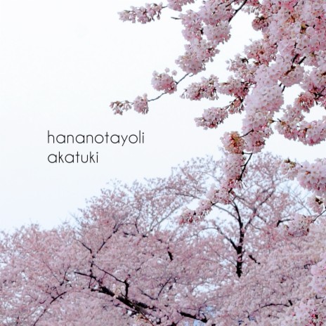 Hananotayoli | Boomplay Music