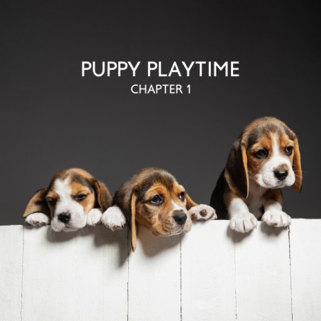 Puppy Playtime ft. Puppy Jazz