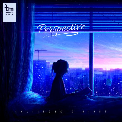 Perspective ft. middt | Boomplay Music