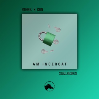 Am Incercat