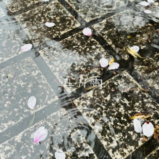 五月雨 lyrics | Boomplay Music