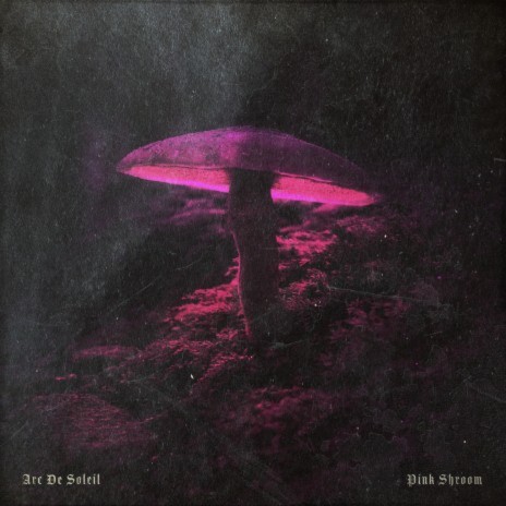 Pink Shroom | Boomplay Music