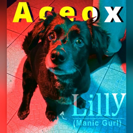 Lilly (Manic Gurl) | Boomplay Music