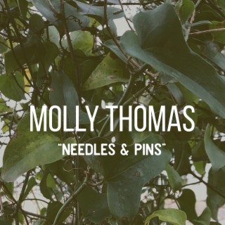 Needles & Pins